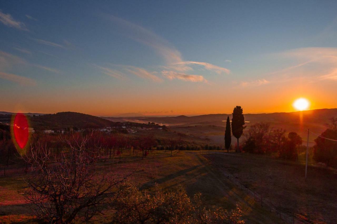 Agriturismo Le Vignacce Villa Santa Luce Kültér fotó