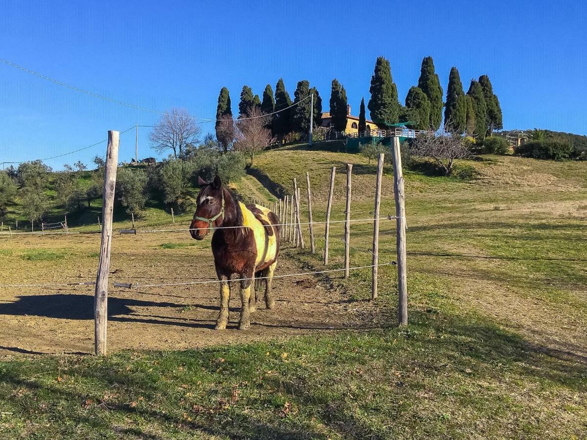 Agriturismo Le Vignacce Villa Santa Luce Kültér fotó